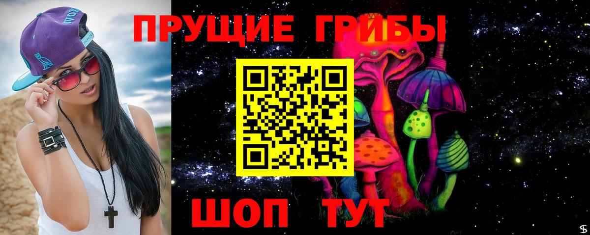 Братск  Галлюциногенные грибы Psilocybine cubensis  Псилоцибиновые грибы Psilocybine cubensis  Вход с VPN 